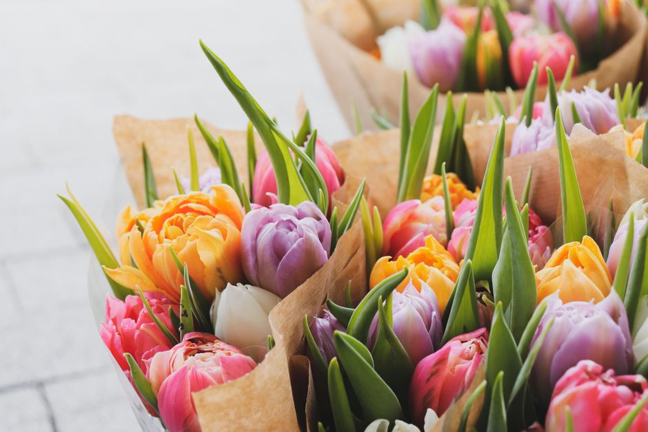 A vibrant arrangement of fresh tulips in various pastel shades, including pink, purple, yellow, and white, wrapped in brown craft paper. The tulips have open petals revealing their delicate texture, w